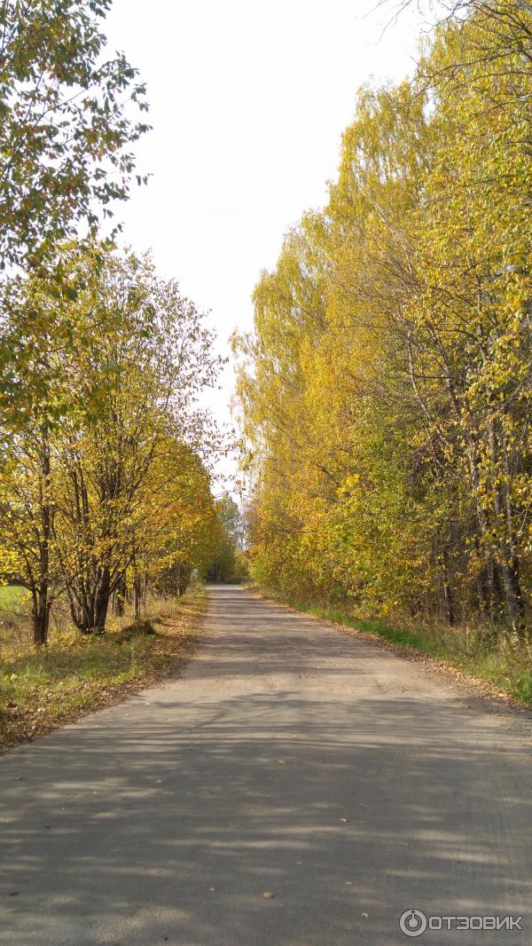 Загородный комплекс отдыха Чукавино (Россия, Тверская область) фото