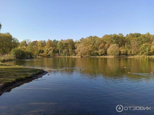 Природно-исторический парк Покровское-Стрешнево (Россия, Москва) фото