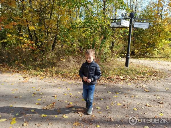 Природно-исторический парк Покровское-Стрешнево (Россия, Москва) фото