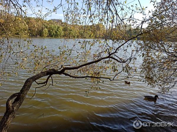 Природно-исторический парк Покровское-Стрешнево (Россия, Москва) фото