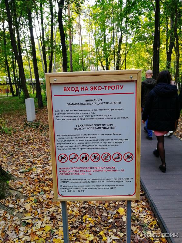 Воздушная экотропа (Россия, Москва) фото