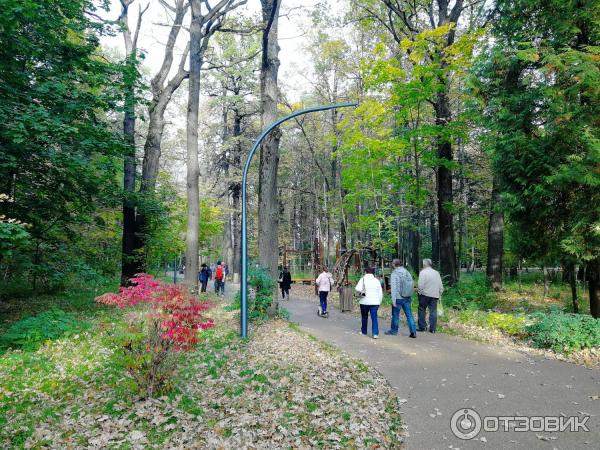 Воздушная экотропа (Россия, Москва) фото