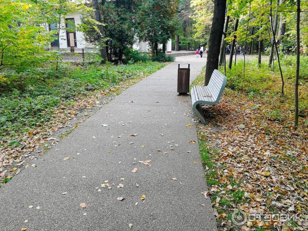 Воздушная экотропа (Россия, Москва) фото