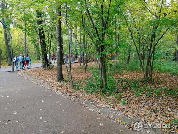 Воздушная экотропа (Россия, Москва) фото