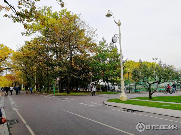 Воздушная экотропа (Россия, Москва) фото