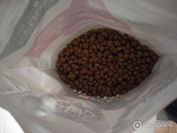 Сухой корм для котят Proplan Purina Delicate фото