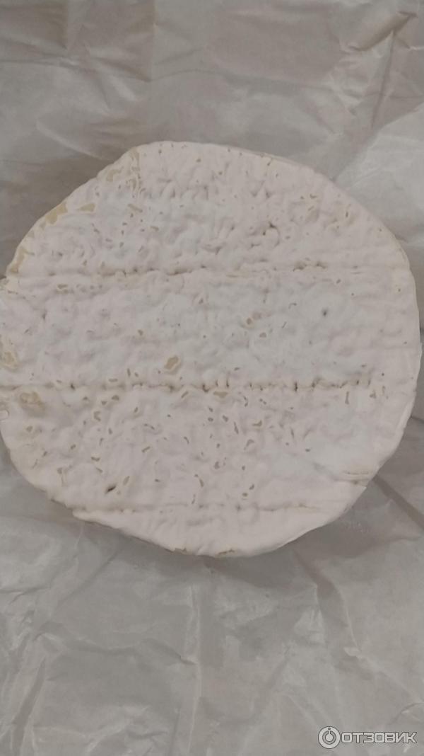 Сыр сливочный с белой плесенью DairyHorn Camembert фото