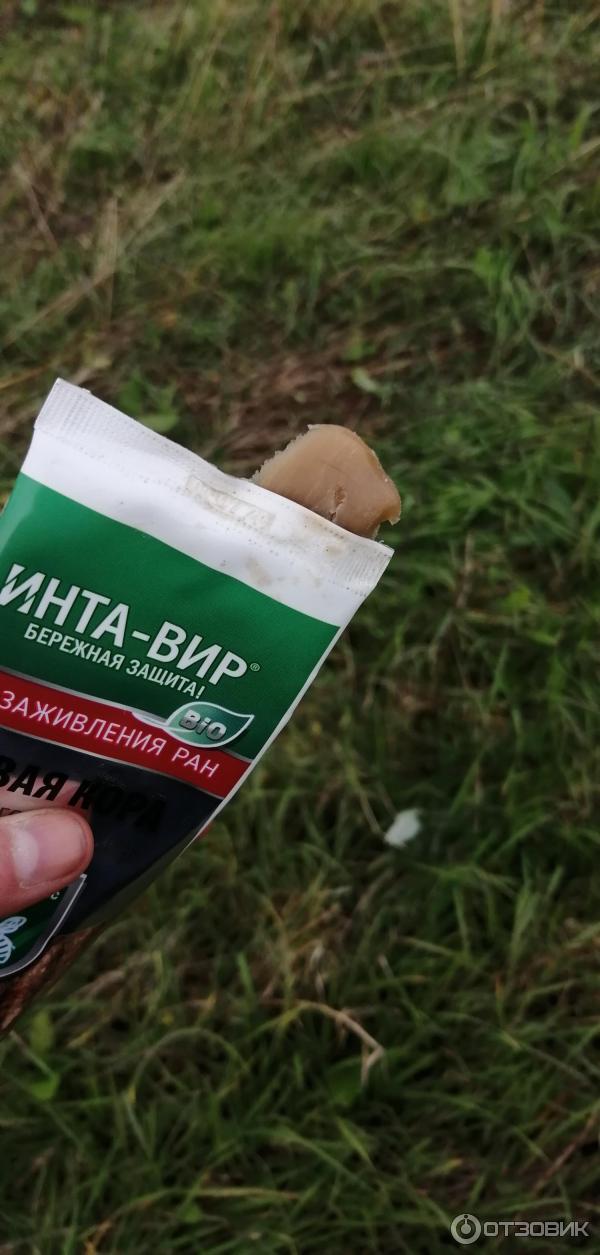 Отзыв о Средство Инта-вир "Живая кора" | Средство хорошее- тара не очень