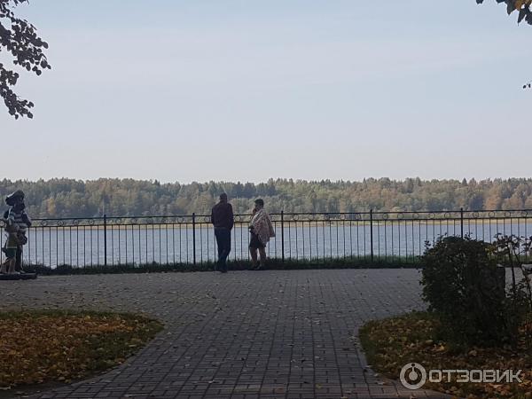 Питомник В Кировске Ленинградской Области Земля Купить