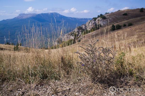 Экскурсия Вершины Южной Демерджи (Россия, Алушта) фото