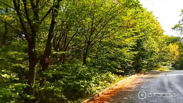 Монастырь Старая Шуамта (Грузия, Телави) фото
