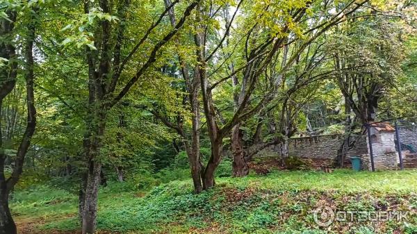 Монастырь Старая Шуамта (Грузия, Телави) фото