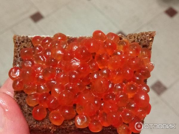 Икра Кеты ИП Борисик фото