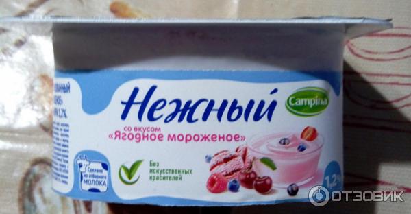 Продукт йогуртный пастеризованный Campina Нежный фото