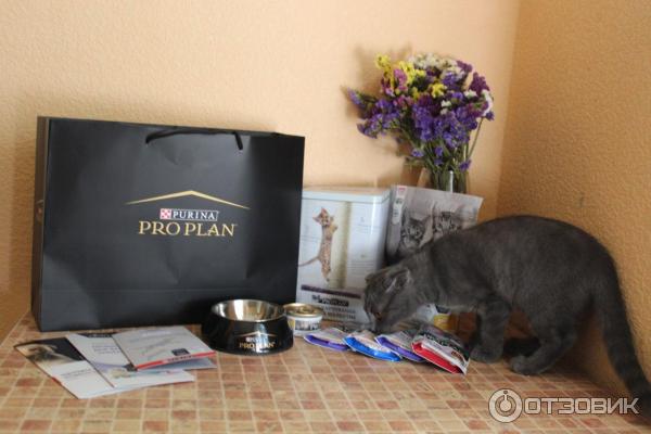 Корм для котят Purina Pro Plan фото