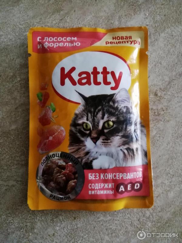 Влажный Корм Для Кошек Katty Купить