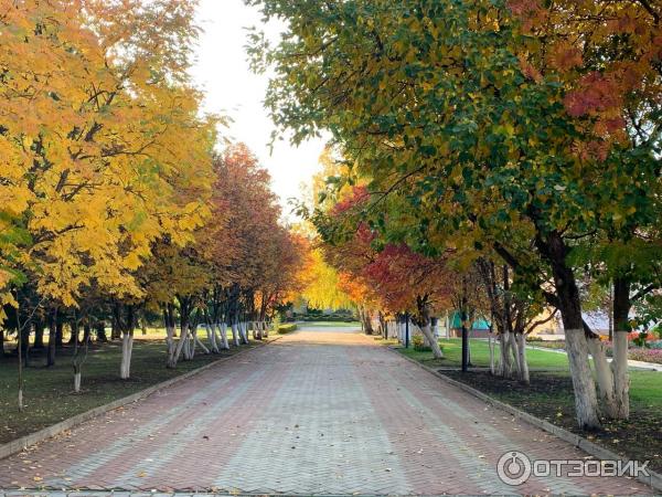 Санаторий-профилакторий Ромашкино (Россия, Татарстан) фото