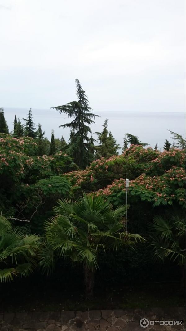 Отель Сказка (Крым, Алушта) фото