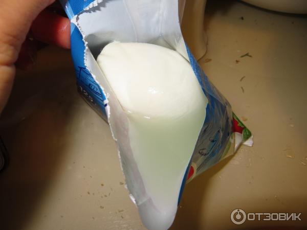 Сыр Galbani Mozzarella 48% фото