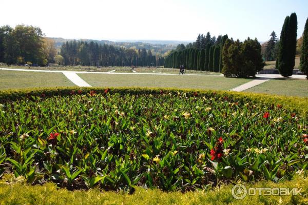 Долина роз 2023 кисловодск. Долина роз кисловодск. Нарзанная галерея кисловодск долина роз. Долина роз кисловодск фото. Долина роз кисловодск.