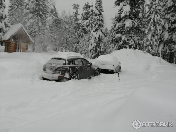 Автомобиль Infiniti FX35 кроссовер фото