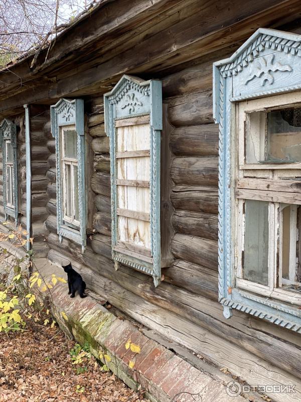 Город Таруса (Россия, Калужская область) фото