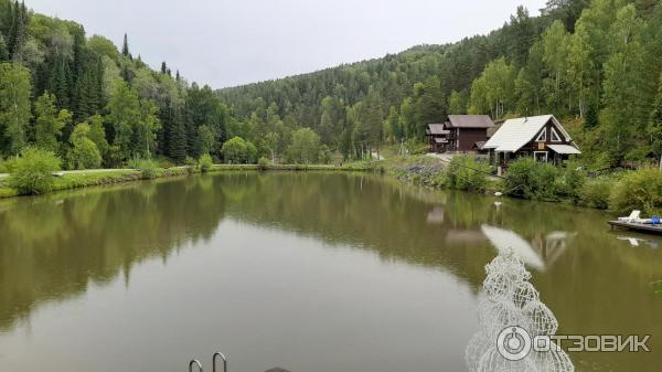 База отдыха Лесная Сказка (Россия, Алтайский край) фото