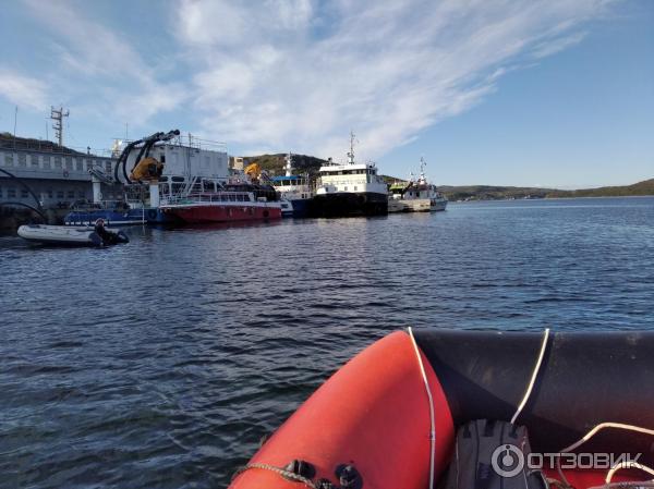 🌊 График Приливов и Отливов в Мурманске (Murmansk), Россия