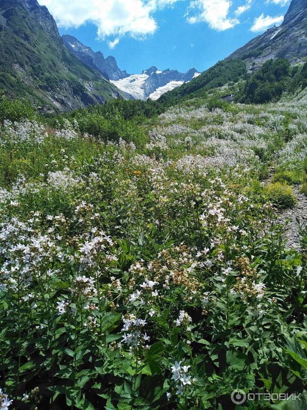 Гостиница Арючат (Россия, Домбай) фото