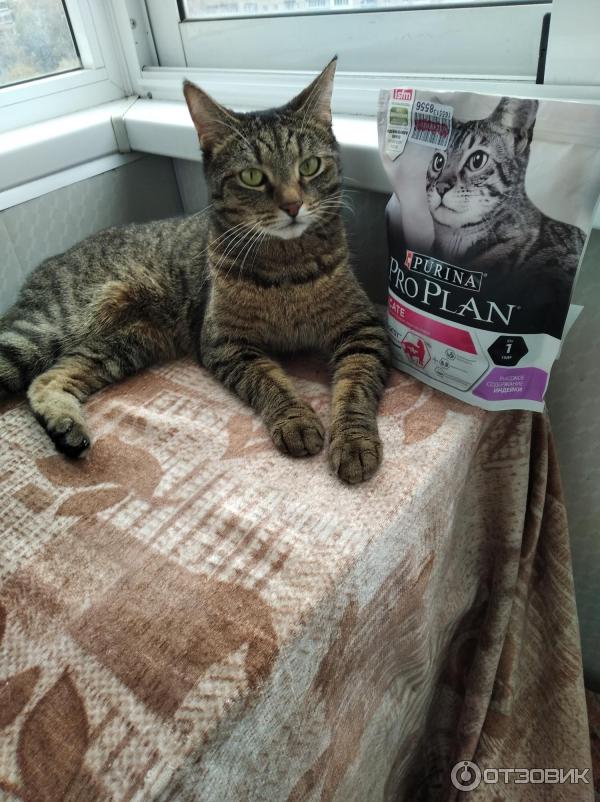 Сухой корм для кошек Purina Pro Plan Delicate фото