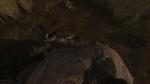 S.T.A.L.K.E.R.: NLC 7 3.7 - игра для PC фото
