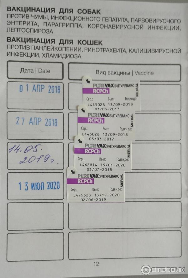 Пуревакс для кошек