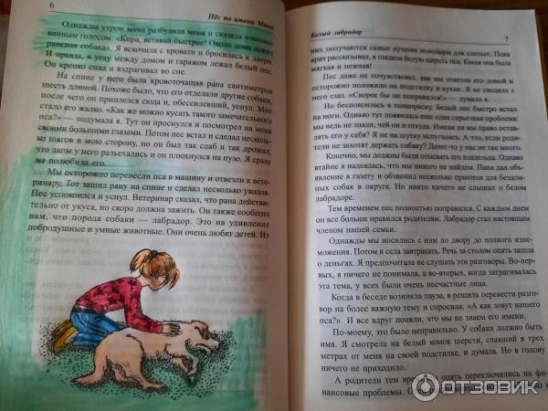 Отзыв о Книга "Пес по имени Мани" - Бодо Шефер | Понравится не только ...