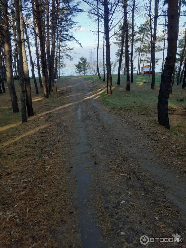 База отдыха Ясная поляна Алтайский край Новоегорьевск фото