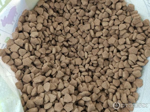 Корм для взрослых собак Dog Chow Adult фото