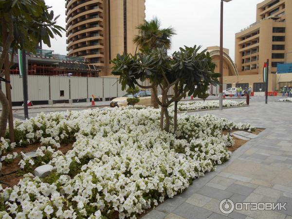 Пляж Jumeirah Beach Residence (ОАЭ, Дубай) фото