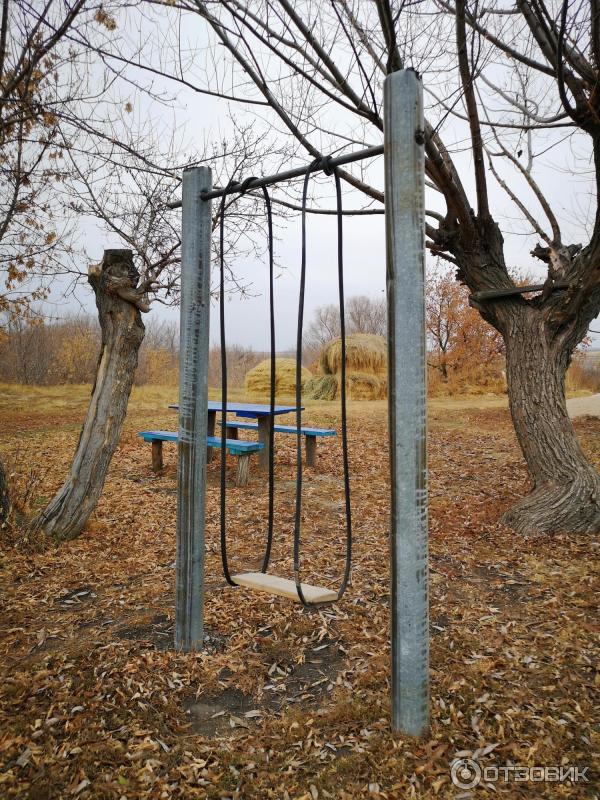 Музей Дом со львом в с. Поповка (Россия, Саратовская область) фото