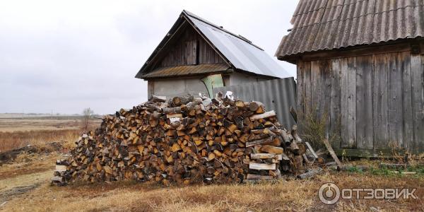 Музей Дом со львом в с. Поповка (Россия, Саратовская область) фото