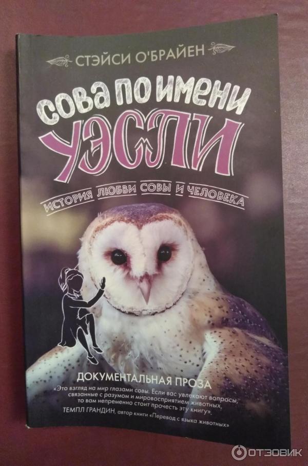 Книга Сова по имени Уэсли - Стэйси О Брайен