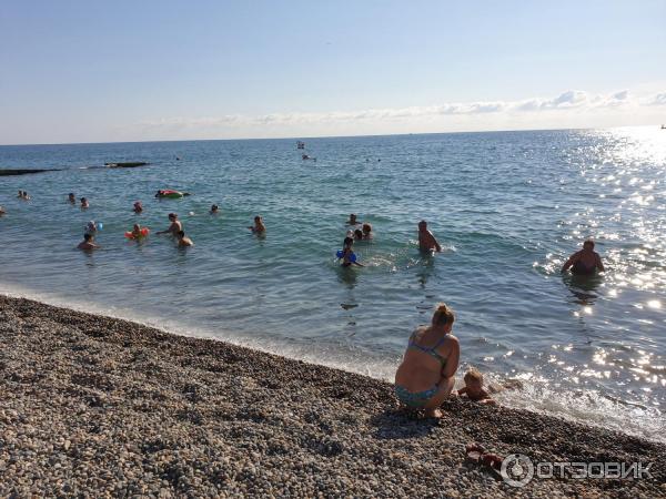 Пляж санатория известия адлер фото Отзыв о Санаторий "Известия" (Россия, Адлер) Далеко от моря