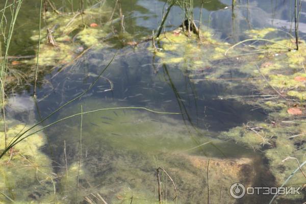 Гоначхирское ущелье, озеро Туманлы-Кель