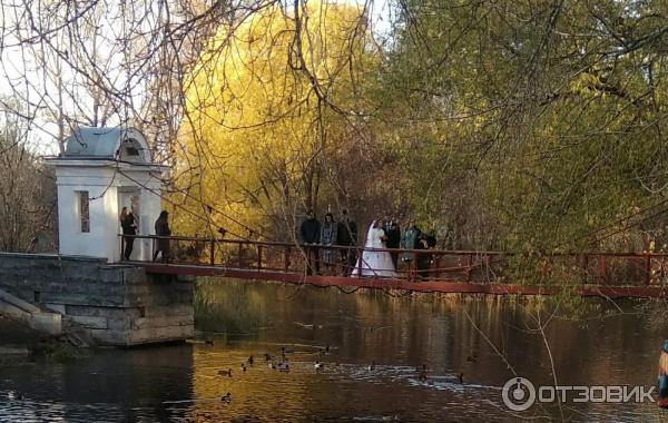 Харитоновский сад (Парк Пионеров) (Россия, Екатеринбург) фото