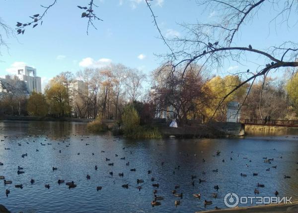 Харитоновский сад (Парк Пионеров) (Россия, Екатеринбург) фото