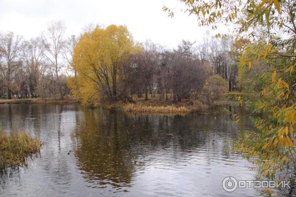 Харитоновский сад (Парк Пионеров) (Россия, Екатеринбург) фото