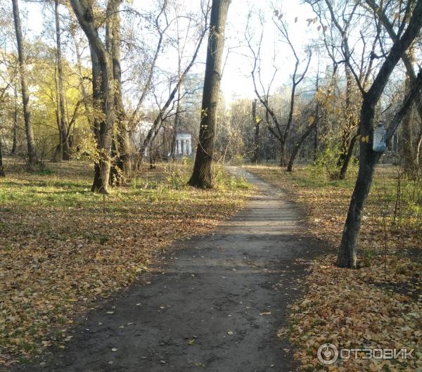 Харитоновский сад (Парк Пионеров) (Россия, Екатеринбург) фото