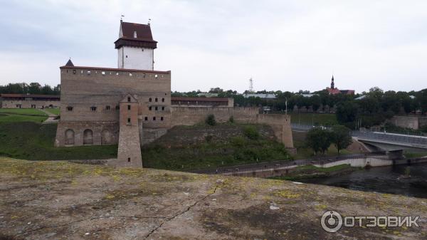 Крепость Нарва через реку от Ивангорода