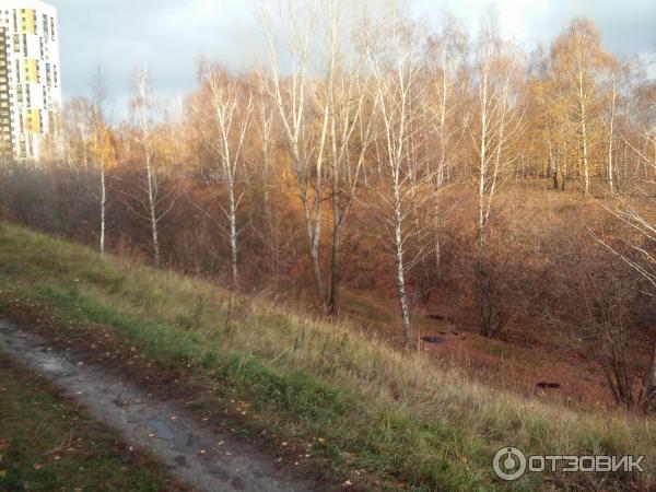 Парк Комсомолец (Россия, Казань) фото