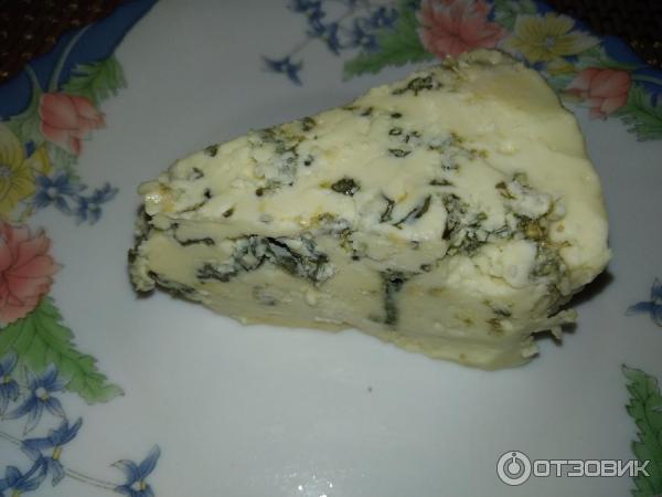 Сыр с голубой плесенью Terra del Gusto Gorgonzola фото