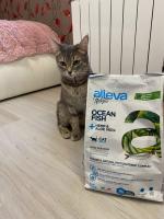 Сухой корм для кошек Alleva Holistic фото