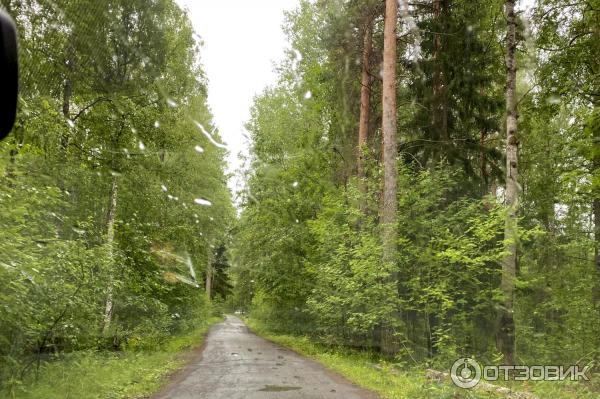 Загородный клуб Авиаретро (Россия, Карелия) фото